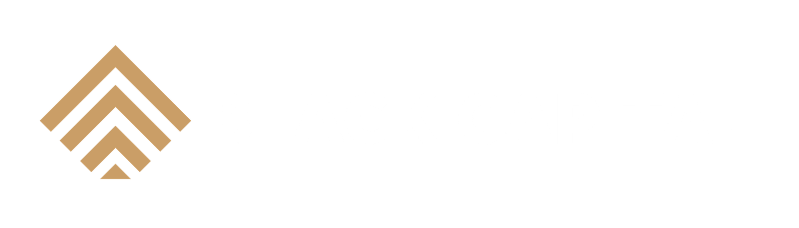 blackcapitalorg.com